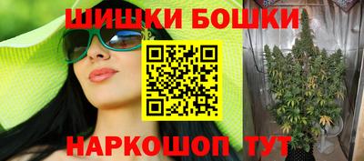 крисы Малгобек