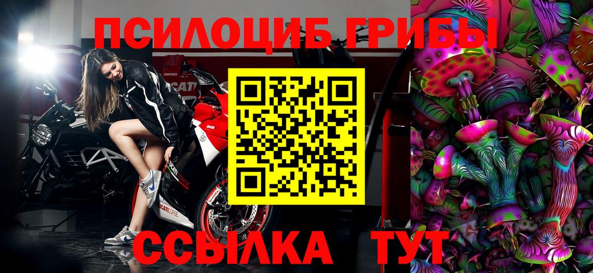 Псилоцибиновые грибы Cubensis Гудермес