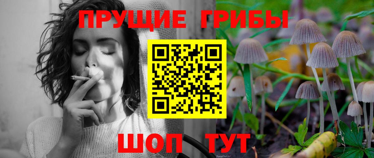 Галлюциногенные грибы Magic Shrooms  Вход с VPN  Псилоцибиновые грибы Magic Shrooms  где купить   Гудермес 